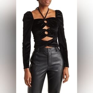 Torn By Ronny Kobo "Petra Long Sleeve Cutout Velvet Crop Top"